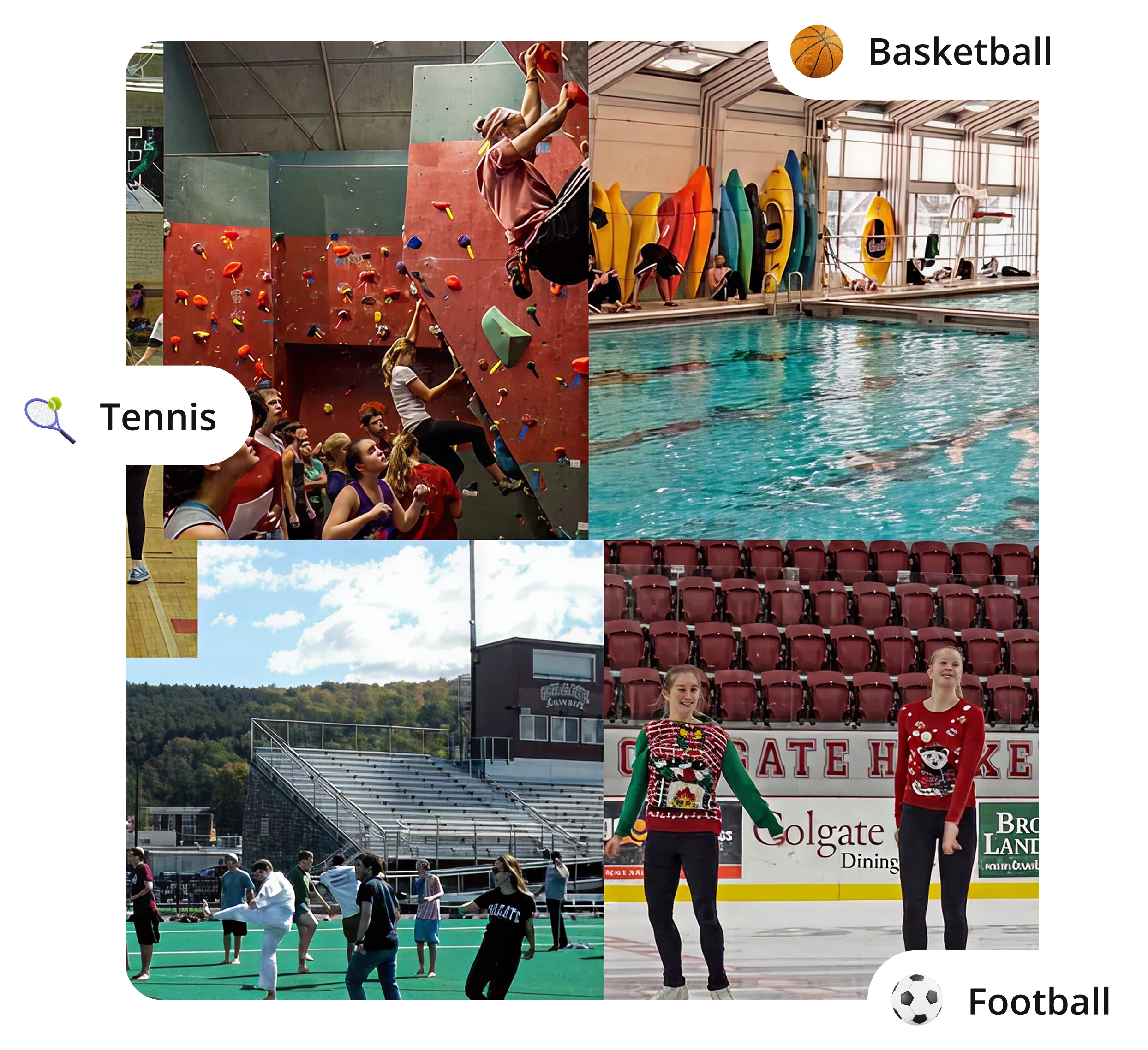 Fitness Nation Health Platform